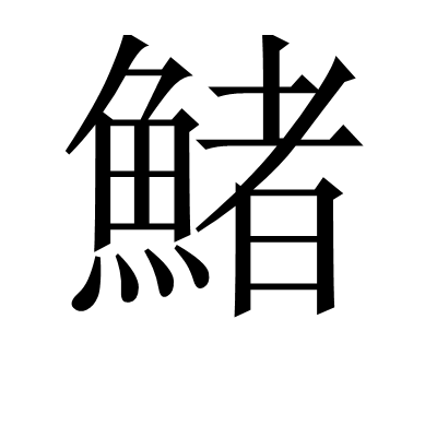 开云-enema系列